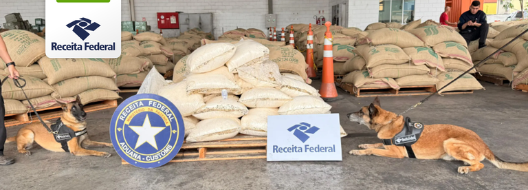 Receita Federal e Polícia Federal apreendem cerca de meia tonelada de cocaína em carga de café no Porto do Rio